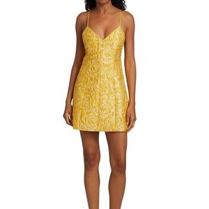 Alice and Olivia Tayla dress